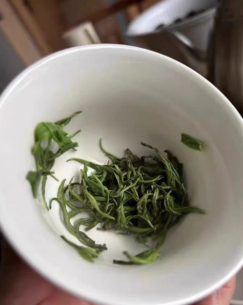 保靖黄金茶是什么茶？保靖黄金茶是湖南名茶吗