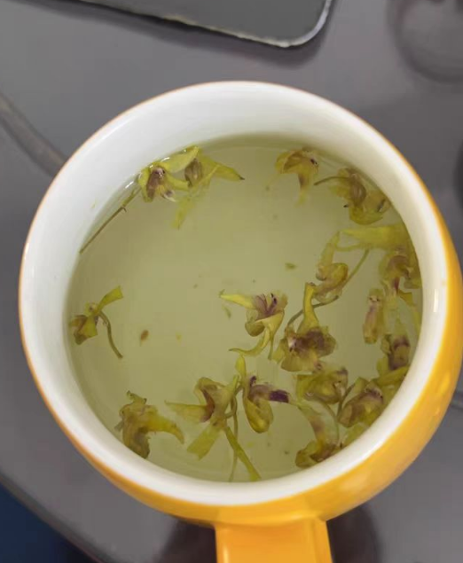 铁皮石斛茶是什么茶？铁皮石斛茶怎么泡有什么功效