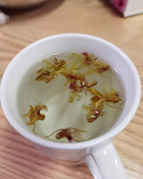 铁皮石斛茶是什么茶？铁皮石斛茶怎么泡有什么功效