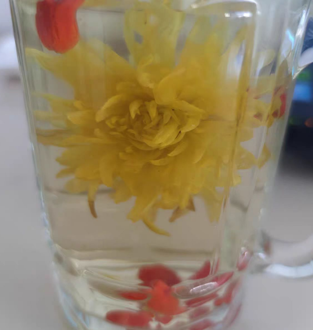 清驰菊和金丝皇菊是一种菊花茶吗？清驰菊花茶可以清理血管吗