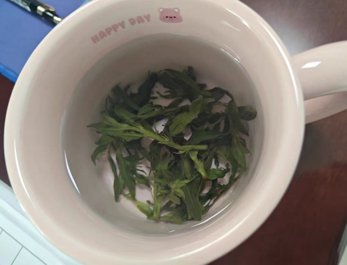 月上兰山茶属什么茶？月上兰山茶的功效和作用