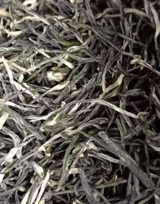 种植南京雨花茶根茎枯萎了怎么办？雨花茶根茎枯萎了怎么救活呢