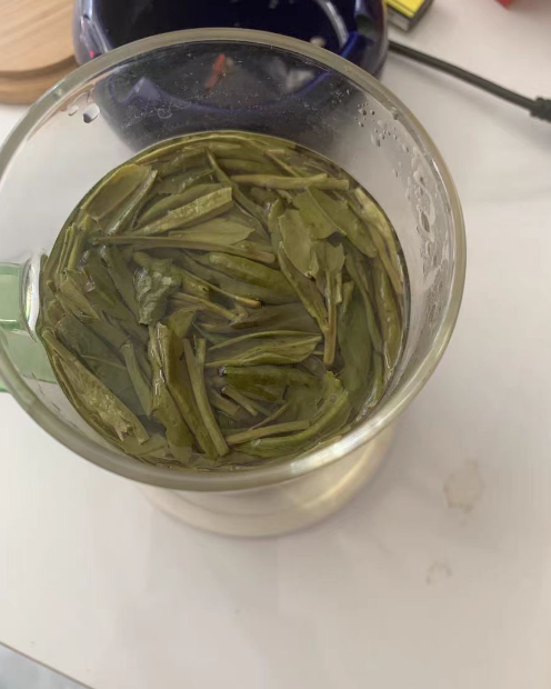 种植大佛龙井茶需要浇水吗？种植大佛龙井茶浇水过量怎么办