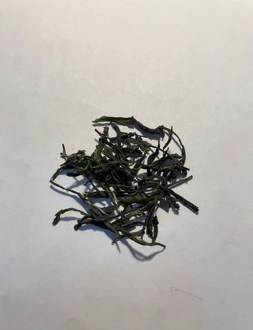 种植庐山云雾茶需要遮阳吗?种植庐山云雾茶什么时候遮阳最好