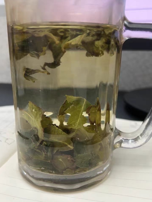 猴王茉莉花茶为什么便宜？猴王茉莉花茶产量高吗