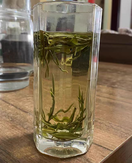 望海茶夏天可以种植吗？望海茶什么时候采摘最好