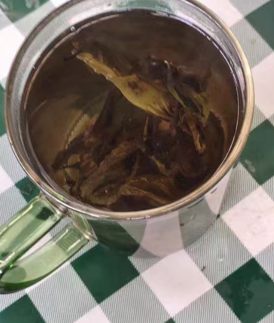 种植青钱柳茶有什么病虫害吗？种植青钱柳茶病虫害防治方法