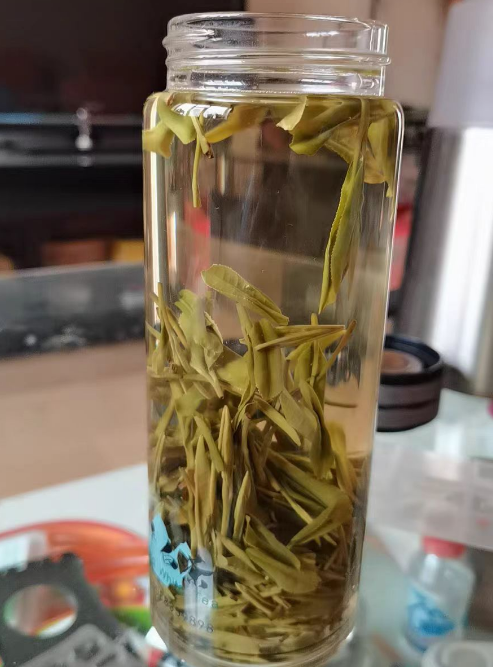 望海茶夏天可以种植吗？望海茶什么时候采摘最好