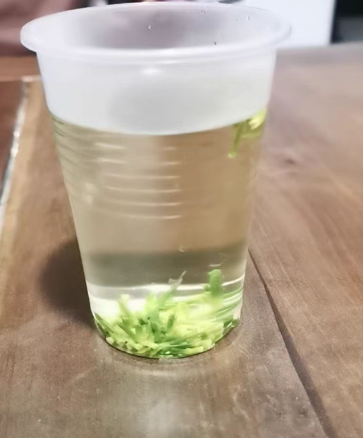 莲子心茶用的是哪种莲子?莲子心茶种植需要特定环境吗