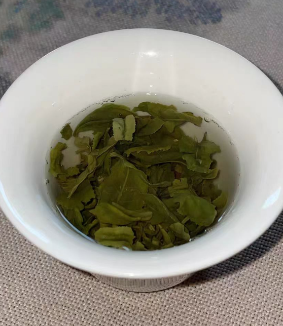 休宁松萝茶是哪里产的？休宁松萝茶能移栽种植吗