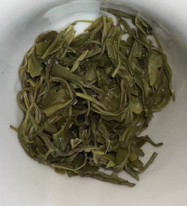 休宁松萝茶是哪里产的？休宁松萝茶能移栽种植吗