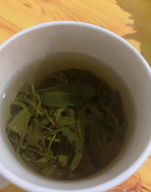 种植崂山绿茶冬天需要浇水吗？种植崂山绿茶冬天会冻死吗