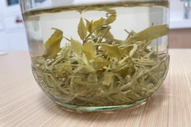 藤茶是什么植物？藤茶是寒性的还是温性的