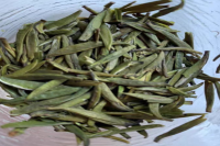 竹叶青茶是什么植物？竹叶青茶属于哪类茶