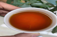 普洱茶生茶和熟茶哪个好？普洱茶可以减肥吗