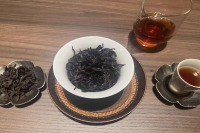 种植武夷水仙茶烂根怎么办？武夷水仙茶烂根的原因和解决办法